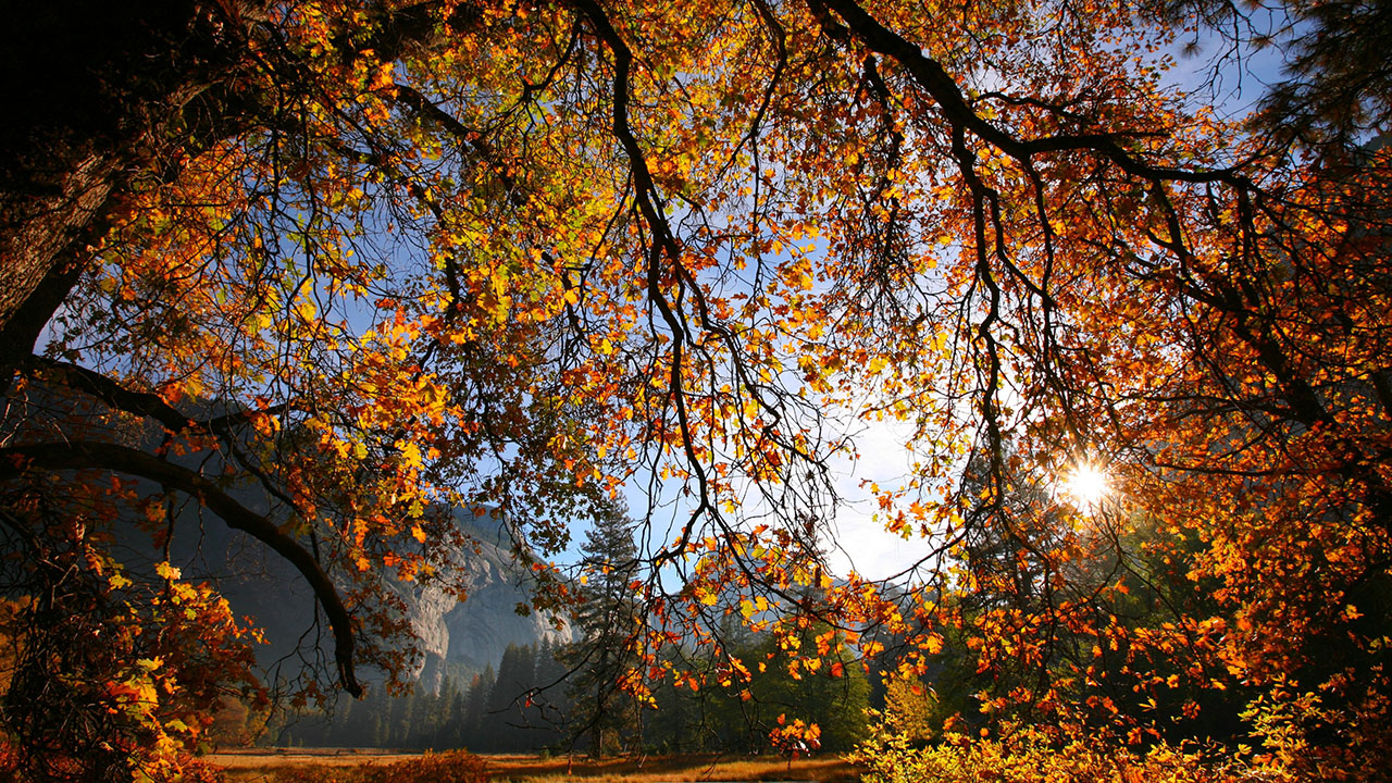 酷乐视投影r4s拆解,酷乐视s3pro和酷乐视r4s
