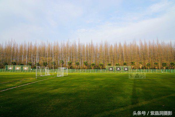 武磊助西班牙人收入猛增,武磊最新身价达2000万欧