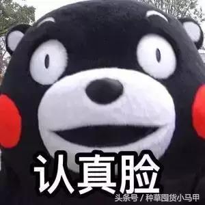 代购骗局和骗术一样吗,一招鉴别假代购