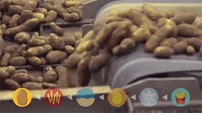 日本研究秃顶,日本教授秃头研究