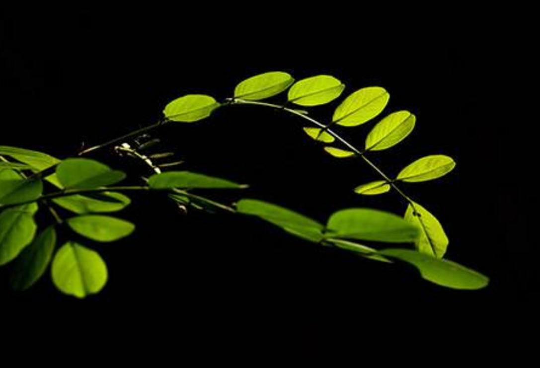 佛性知行合一是王道,佛性修养