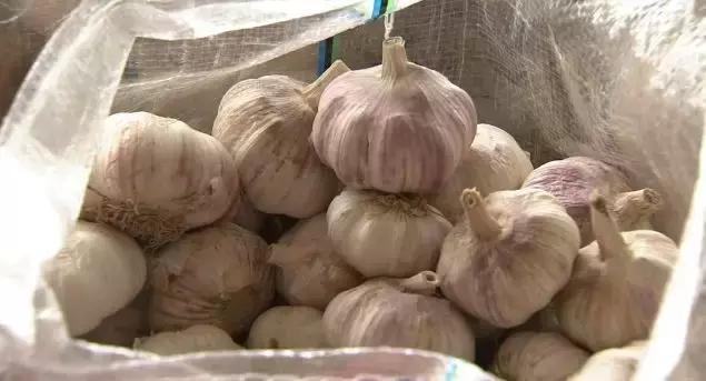 大蒜怎么做不发芽,大蒜最好吃的做法不发芽