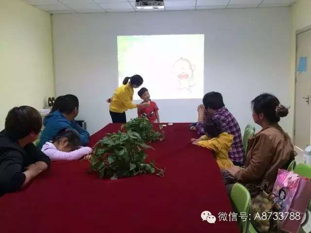 过年啦拜年啦儿童版,北京全脑通教育