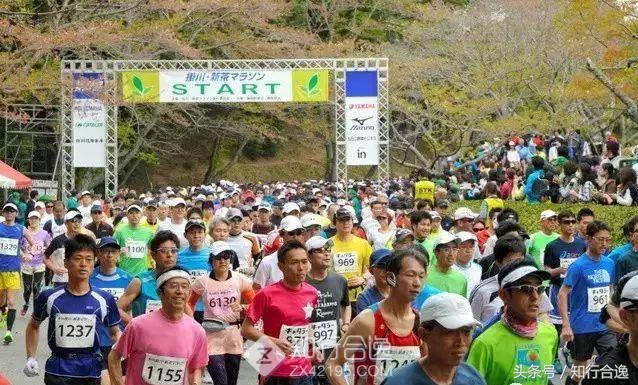 草莓补给，初春十里茶园为赛道，来挂川喝茶跑马！