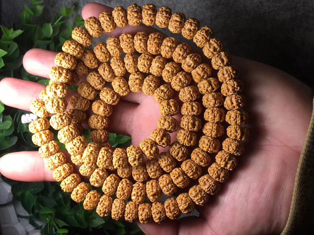 ufo金刚是什么品种,金刚菩提飞碟双龙怎么盘