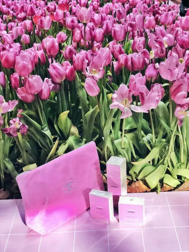 今年上海的春节,上海市的春节