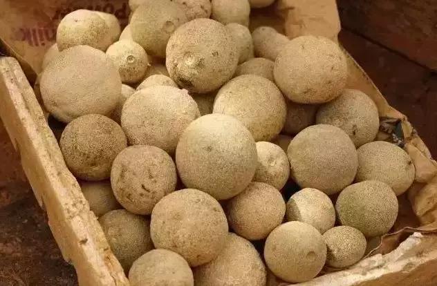 盘点一下那些少见而又奇葩的水果,千奇百怪的水果图片