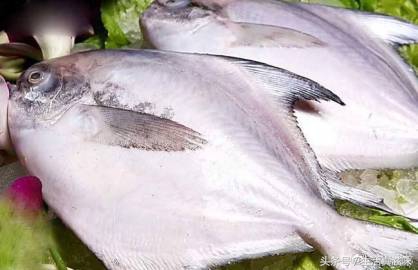 宁波年夜饭2019,年味浓浓你必须知道的宁波年味