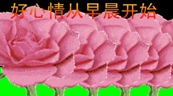 早安问候语最暖心图片,每日问候语早安动态图片