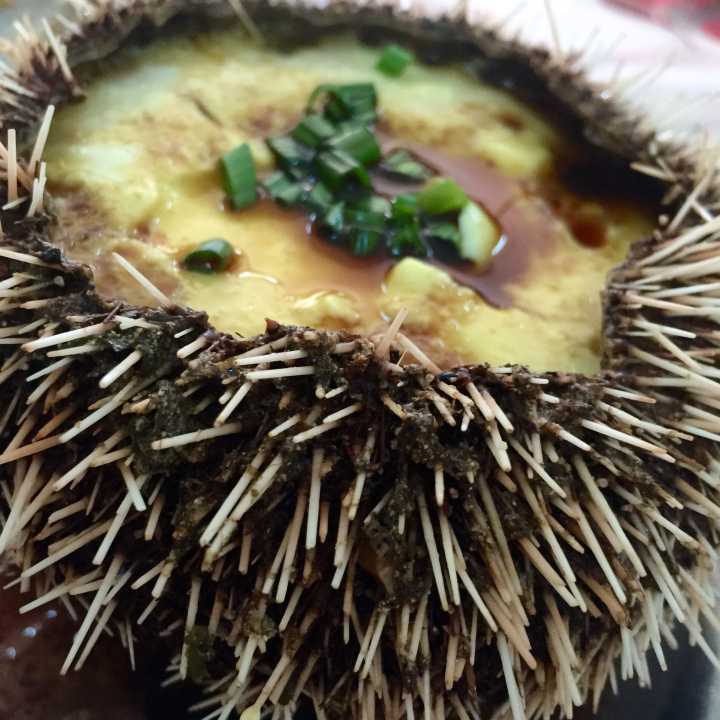 三亚自行游四天三晚攻略,三亚7月游最佳攻略