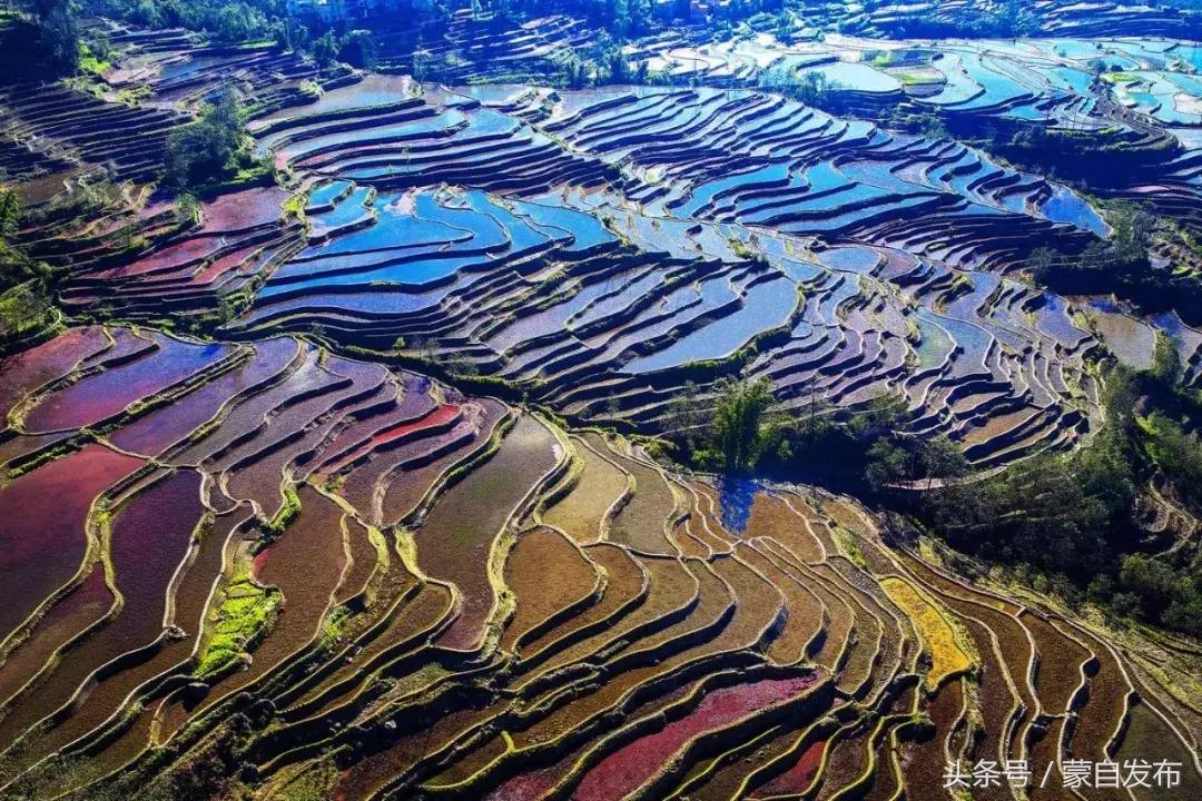 红河县活动,红河县最近乡镇活动