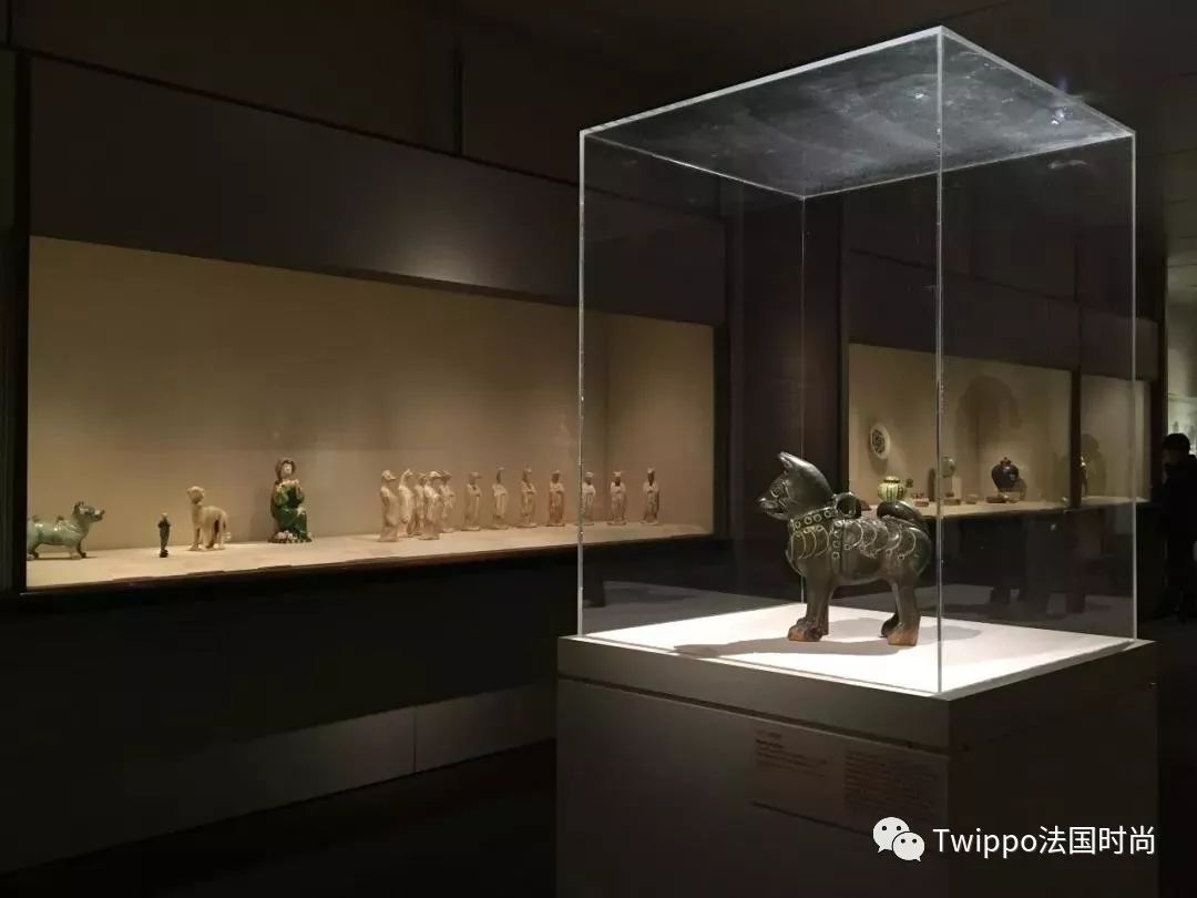 吐槽完了狗年单品，你给你的狗主子买了什么？