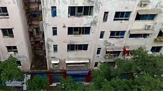 猫咪贪玩被困高楼窗檐上，主人用这招机智拯救它