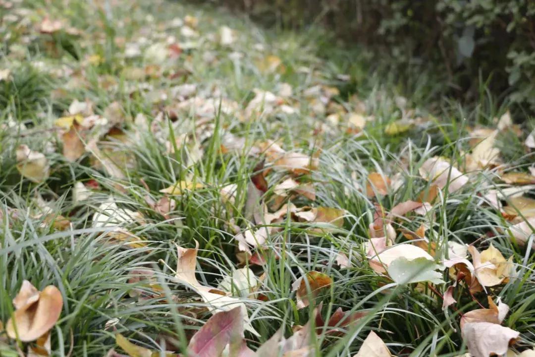 鎺㈢储瑗垮畨鍚勫ぇ楂樻牎,鐩樼偣瑗垮畨鍚勫ぇ楂樻牎