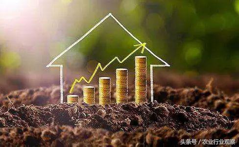 互联网农业创业技巧大全,农业互联网创业盈利的三种模式