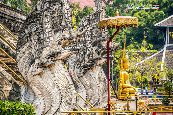 清迈佛寺之城等你采撷的泰北玫瑰,清迈环球旅行家