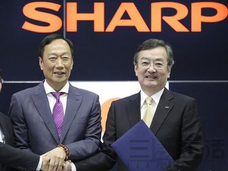 谷歌成为互联网霸主,谷歌反超跌出美国市值前三强之列