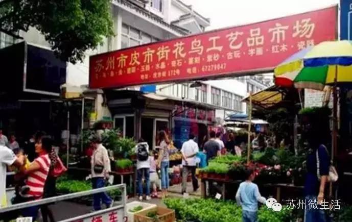 吐血整理干货满满建议收藏,苏州七天省钱攻略