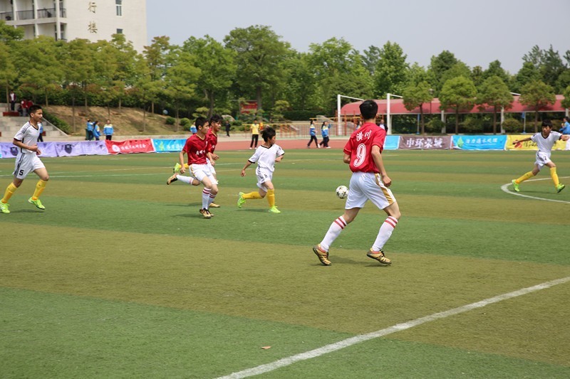 信阳市第五届市长杯足球赛,信阳市第7届足球赛