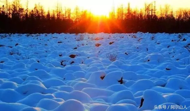 雪藏原版是谁,雪藏哪年出的歌