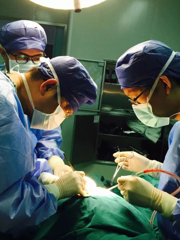 医院最新新闻,医院新闻最新资讯