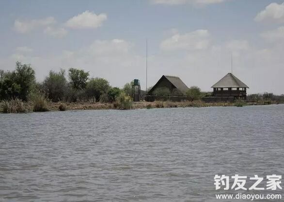 来自南非MongenaGameLodge的挑战(一)