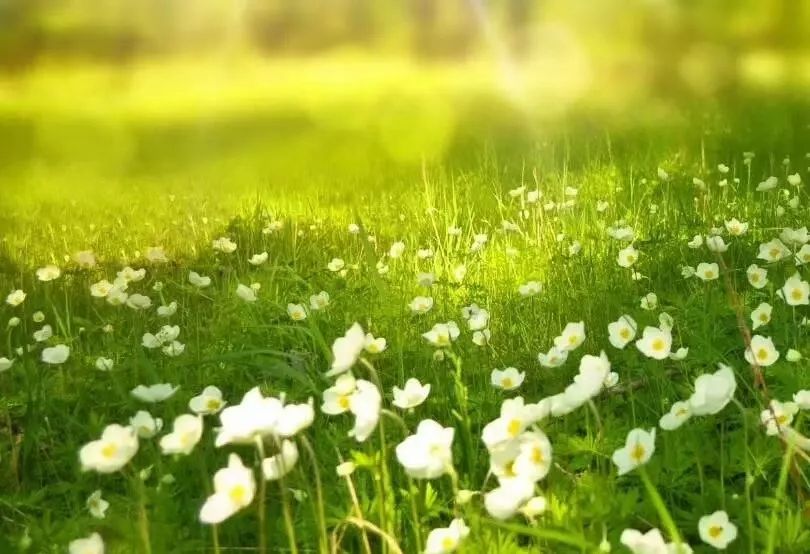 妙言录：谈电视与电台主持人专业上的不足与提议