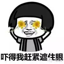 川贝枇杷膏美国,枇杷膏美国