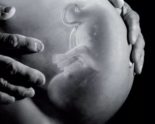 怀孕恐惧症能吃中药调理吗,怀孕恐惧症怎么克服