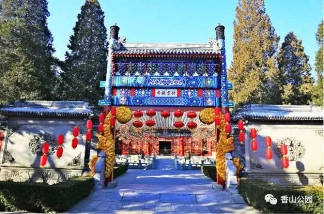 春节灯会好玩吗,元宵节灯会哪里好玩