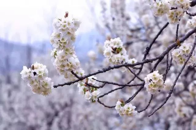 西安慢火车周边游,从西安出发高铁周边游一日游