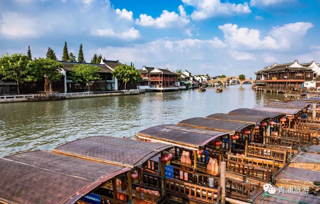 梅时莓刻惊蛰春！这一份青浦春游完整版攻略请收好~