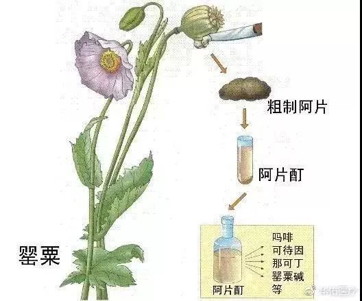 两盒感冒药80多,两盒感冒药一百多正常吗