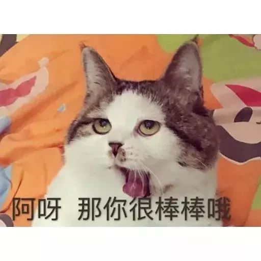 天啊！突击了武汉女人的包后，发现里面居然有……