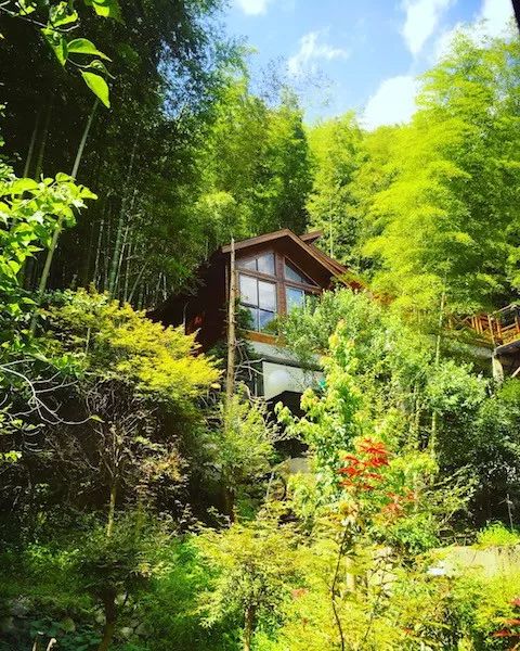 旅行胜地最美民宿,宁波龙观禅那艺术民宿优惠团购