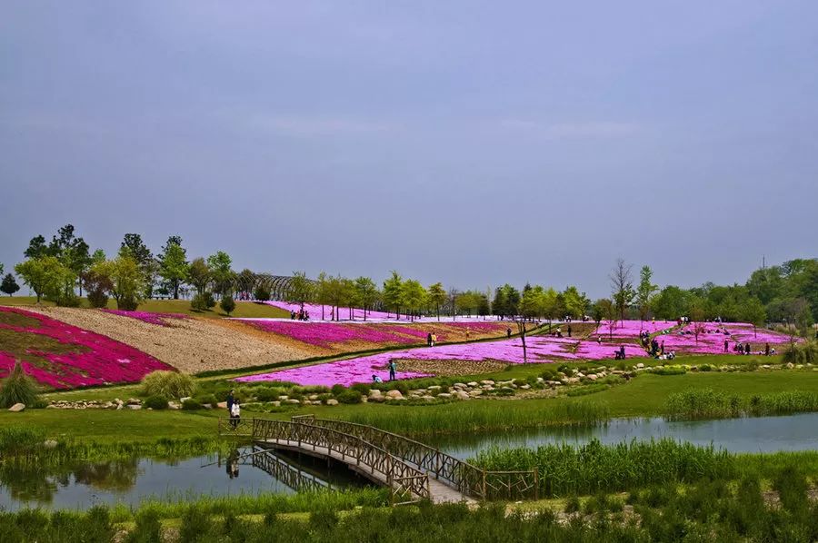 上海明天哪些景点免费开放,上海小众景点游玩免费