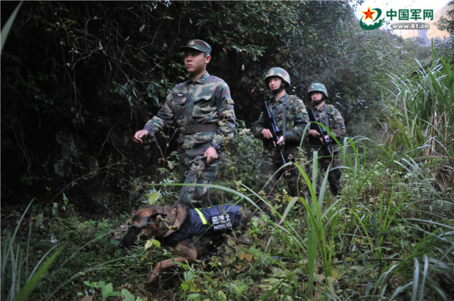 他们为啥追着太阳跑？只因阳光的“脚步”太匆匆