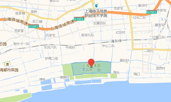 植树节去蚂蚁森林,植树节到