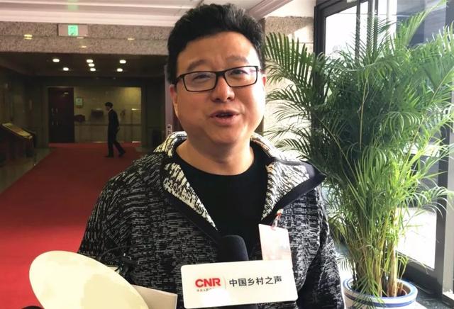 网易的丁磊养的什么猪,网易丁磊养猪视频现在怎么样了