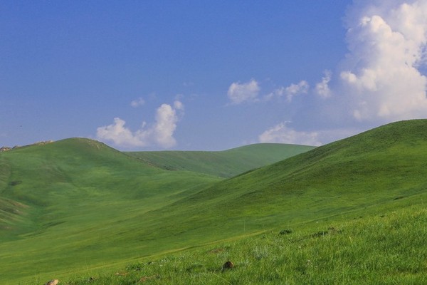 飞机旅游呼伦贝尔草原攻略,呼伦贝尔草原5日环线游