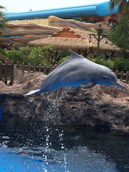 去珠海长隆海洋王国住哪里好,海昌海洋公园和长隆海洋王国
