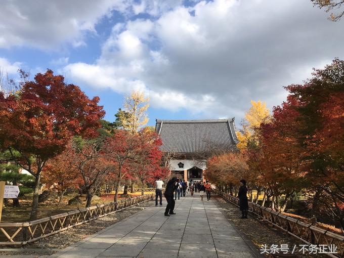 旅行|CoordinateBook06-No.535.0116°N,135.7680°E京都