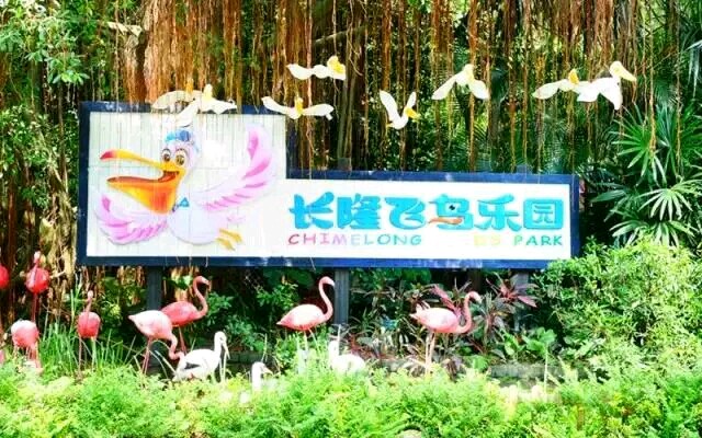 广州长隆飞鸟乐园一日游,广州长隆飞鸟乐园