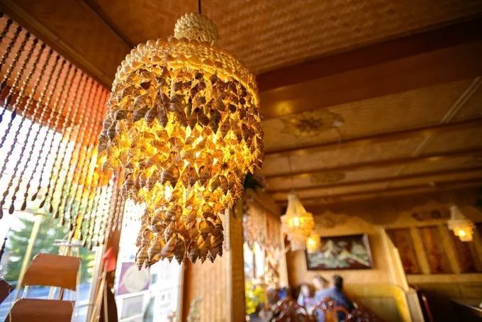 别再排斥跟团了之德国行，从哈布斯堡王朝，到雅历安血统