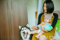 新出生的狗宝宝,狗崽起名字大全