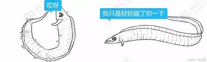为什么别人的头发总是光滑柔顺你的却毛躁不堪？漫画教你如何护发