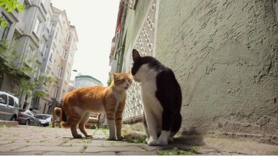 2017年洞朗危机纪录片,2012年评分最高的十部电视剧