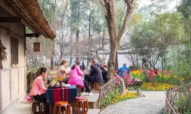 海棠花全部盛开,中国最大的海棠花观赏地