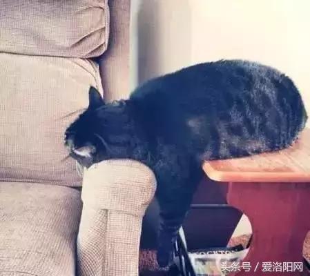 鍋囨湡寤堕暱缇庨,鎵撳崱娲涢槼杩欎簺缇庨鑰佸簵