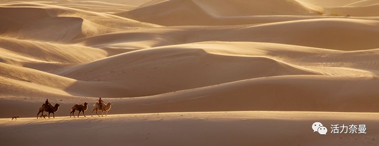 45万人的名片,太漂亮了!!《奈曼人的名片》最新版,45万次!!!精工打造!!!